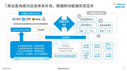 2021年中國商業(yè)查詢市場分析 數(shù)字化浪潮下的商務(wù)信息咨詢新生態(tài)